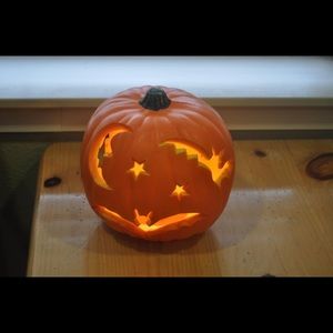 Meet your Posher, Tanu